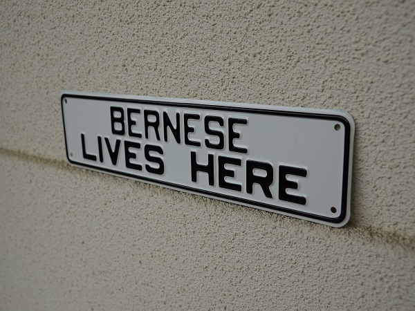 VINTAGE DEAD STOCK ALUMINUM DOG SIGN BERNESE
